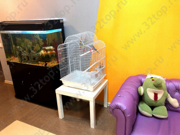 Семейный стоматологический центр АЯУЛЫМ